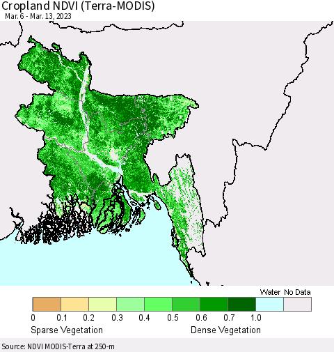 Bangladesh Cropland NDVI (Terra-MODIS) Thematic Map For 3/6/2023 - 3/13/2023