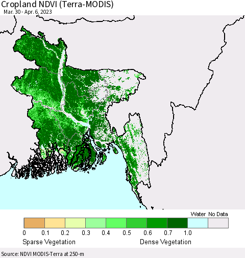 Bangladesh Cropland NDVI (Terra-MODIS) Thematic Map For 3/30/2023 - 4/6/2023
