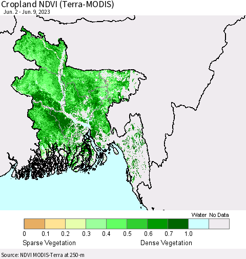 Bangladesh Cropland NDVI (Terra-MODIS) Thematic Map For 6/2/2023 - 6/9/2023