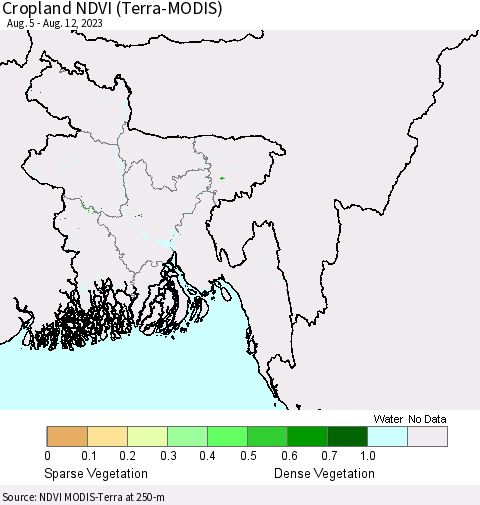 Bangladesh Cropland NDVI (Terra-MODIS) Thematic Map For 8/5/2023 - 8/12/2023