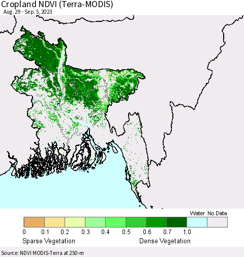 Bangladesh Cropland NDVI (Terra-MODIS) Thematic Map For 8/29/2023 - 9/5/2023