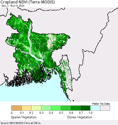 Bangladesh Cropland NDVI (Terra-MODIS) Thematic Map For 11/1/2023 - 11/8/2023