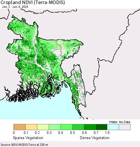 Bangladesh Cropland NDVI (Terra-MODIS) Thematic Map For 1/1/2024 - 1/8/2024
