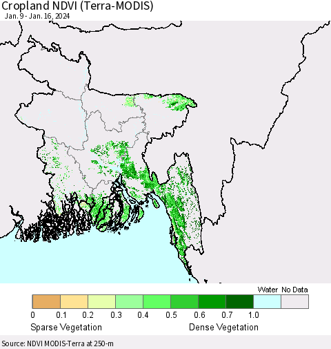 Bangladesh Cropland NDVI (Terra-MODIS) Thematic Map For 1/9/2024 - 1/16/2024