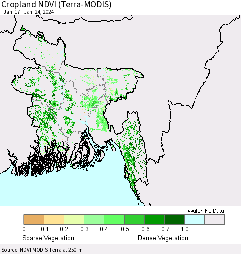 Bangladesh Cropland NDVI (Terra-MODIS) Thematic Map For 1/17/2024 - 1/24/2024