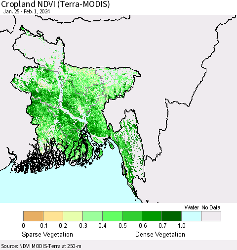 Bangladesh Cropland NDVI (Terra-MODIS) Thematic Map For 1/25/2024 - 2/1/2024