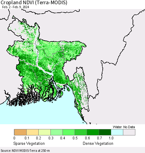 Bangladesh Cropland NDVI (Terra-MODIS) Thematic Map For 2/2/2024 - 2/9/2024