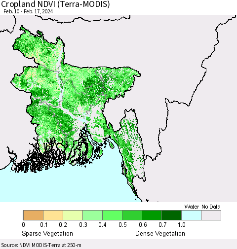 Bangladesh Cropland NDVI (Terra-MODIS) Thematic Map For 2/10/2024 - 2/17/2024