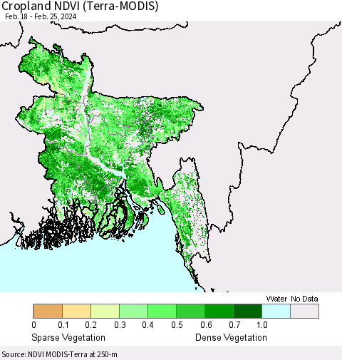 Bangladesh Cropland NDVI (Terra-MODIS) Thematic Map For 2/18/2024 - 2/25/2024
