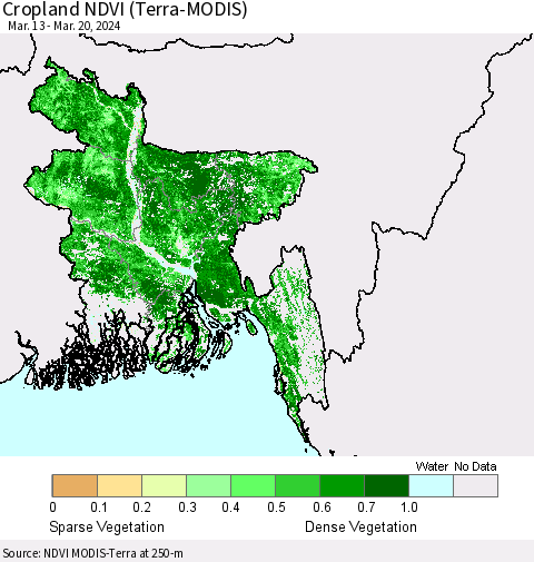 Bangladesh Cropland NDVI (Terra-MODIS) Thematic Map For 3/13/2024 - 3/20/2024
