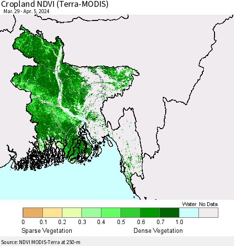 Bangladesh Cropland NDVI (Terra-MODIS) Thematic Map For 3/29/2024 - 4/5/2024