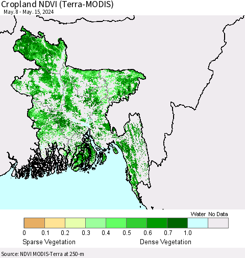 Bangladesh Cropland NDVI (Terra-MODIS) Thematic Map For 5/8/2024 - 5/15/2024