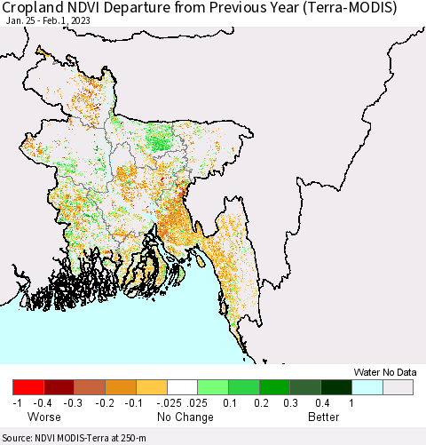 Bangladesh Cropland NDVI Departure from Previous Year (Terra-MODIS) Thematic Map For 1/25/2023 - 2/1/2023