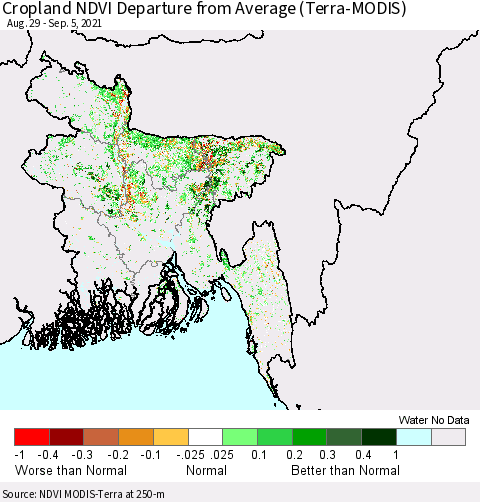 Bangladesh Cropland NDVI Departure from Average (Terra-MODIS) Thematic Map For 8/29/2021 - 9/5/2021