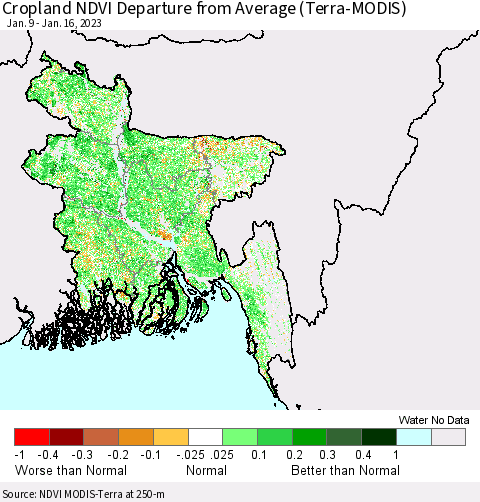 Bangladesh Cropland NDVI Departure from Average (Terra-MODIS) Thematic Map For 1/9/2023 - 1/16/2023