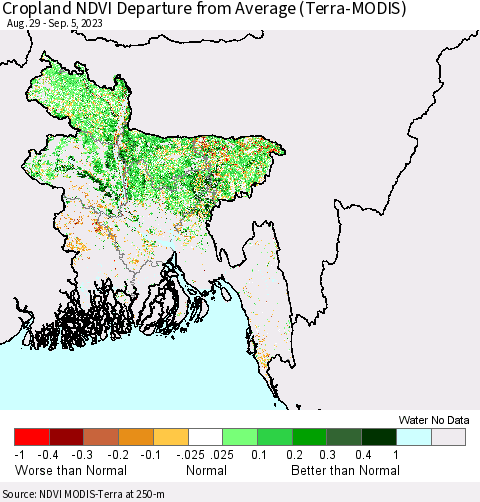 Bangladesh Cropland NDVI Departure from Average (Terra-MODIS) Thematic Map For 8/29/2023 - 9/5/2023