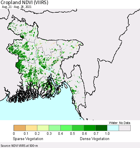 Bangladesh Cropland NDVI (VIIRS) Thematic Map For 8/21/2021 - 8/28/2021