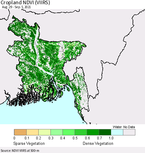 Bangladesh Cropland NDVI (VIIRS) Thematic Map For 8/29/2021 - 9/5/2021