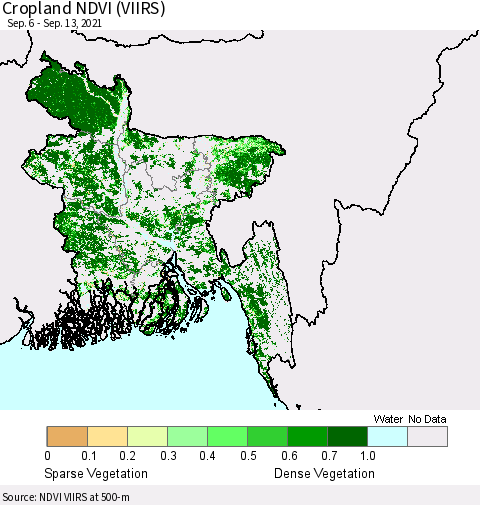 Bangladesh Cropland NDVI (VIIRS) Thematic Map For 9/6/2021 - 9/13/2021
