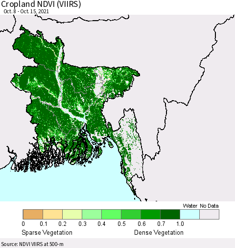 Bangladesh Cropland NDVI (VIIRS) Thematic Map For 10/8/2021 - 10/15/2021