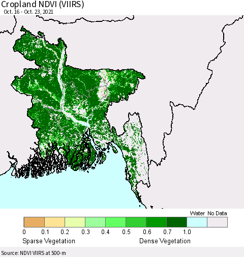 Bangladesh Cropland NDVI (VIIRS) Thematic Map For 10/16/2021 - 10/23/2021