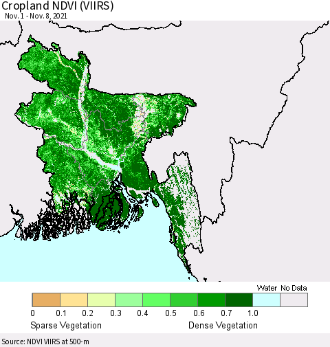 Bangladesh Cropland NDVI (VIIRS) Thematic Map For 11/1/2021 - 11/8/2021