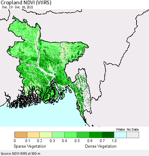 Bangladesh Cropland NDVI (VIIRS) Thematic Map For 12/19/2021 - 12/26/2021