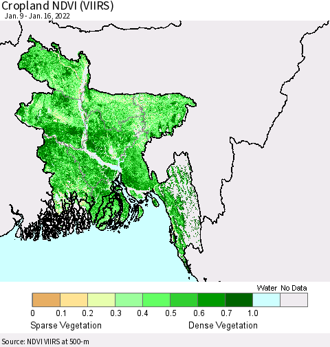 Bangladesh Cropland NDVI (VIIRS) Thematic Map For 1/9/2022 - 1/16/2022
