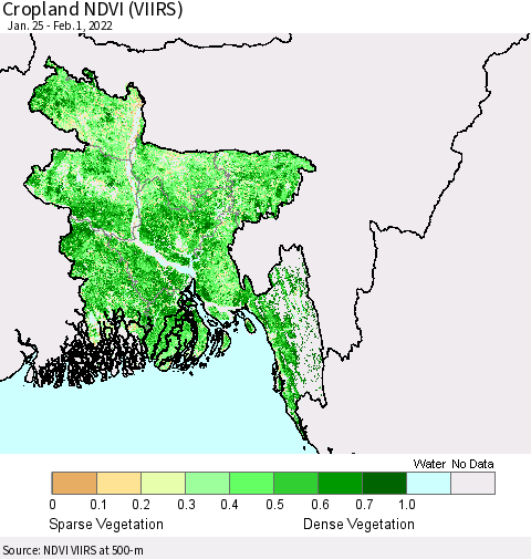 Bangladesh Cropland NDVI (VIIRS) Thematic Map For 1/25/2022 - 2/1/2022