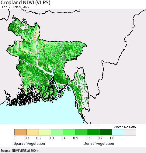 Bangladesh Cropland NDVI (VIIRS) Thematic Map For 2/2/2022 - 2/9/2022