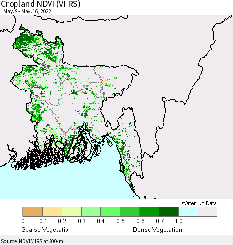 Bangladesh Cropland NDVI (VIIRS) Thematic Map For 5/9/2022 - 5/16/2022
