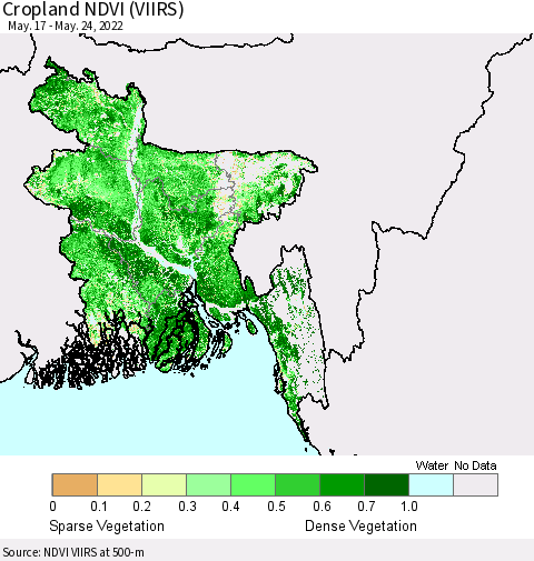 Bangladesh Cropland NDVI (VIIRS) Thematic Map For 5/17/2022 - 5/24/2022