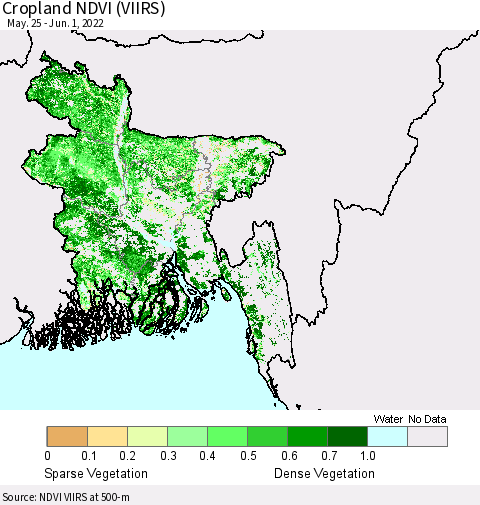 Bangladesh Cropland NDVI (VIIRS) Thematic Map For 5/25/2022 - 6/1/2022