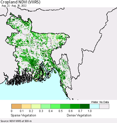 Bangladesh Cropland NDVI (VIIRS) Thematic Map For 8/21/2022 - 8/28/2022