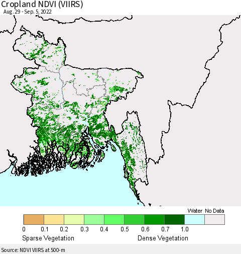 Bangladesh Cropland NDVI (VIIRS) Thematic Map For 8/29/2022 - 9/5/2022