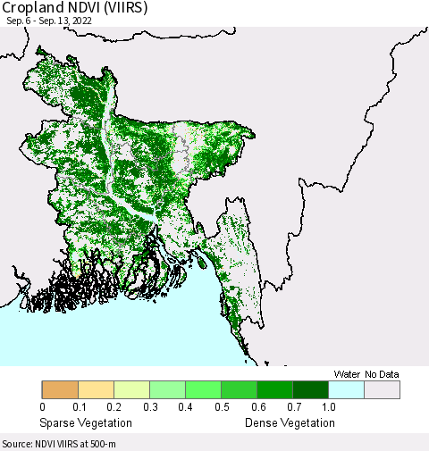 Bangladesh Cropland NDVI (VIIRS) Thematic Map For 9/6/2022 - 9/13/2022