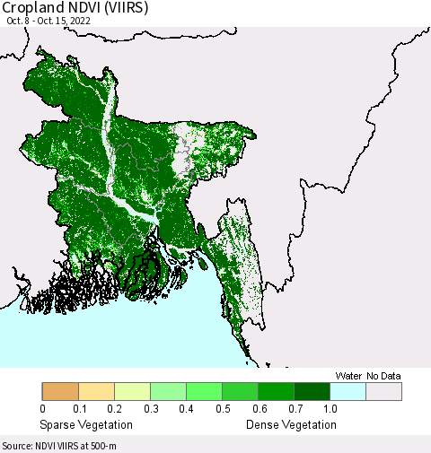 Bangladesh Cropland NDVI (VIIRS) Thematic Map For 10/8/2022 - 10/15/2022