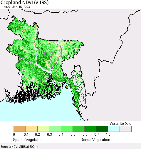Bangladesh Cropland NDVI (VIIRS) Thematic Map For 1/9/2023 - 1/16/2023