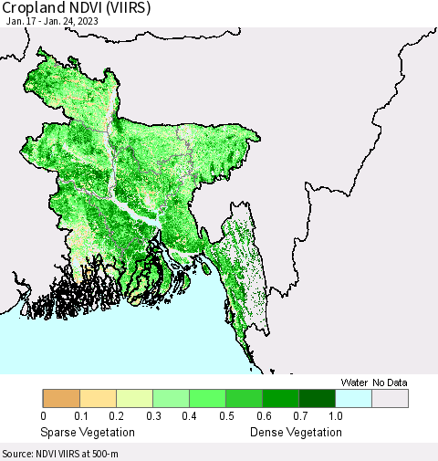 Bangladesh Cropland NDVI (VIIRS) Thematic Map For 1/17/2023 - 1/24/2023