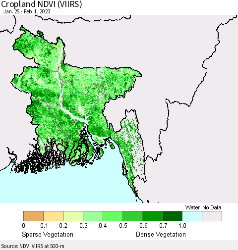 Bangladesh Cropland NDVI (VIIRS) Thematic Map For 1/25/2023 - 2/1/2023