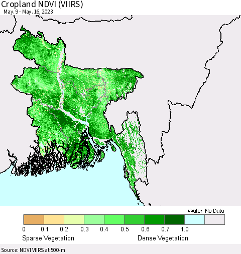 Bangladesh Cropland NDVI (VIIRS) Thematic Map For 5/9/2023 - 5/16/2023