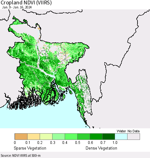 Bangladesh Cropland NDVI (VIIRS) Thematic Map For 1/9/2024 - 1/16/2024
