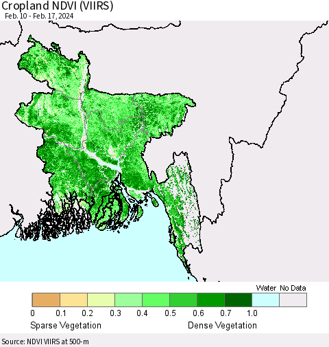 Bangladesh Cropland NDVI (VIIRS) Thematic Map For 2/10/2024 - 2/17/2024