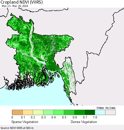 Bangladesh Cropland NDVI (VIIRS) Thematic Map For 3/13/2024 - 3/20/2024