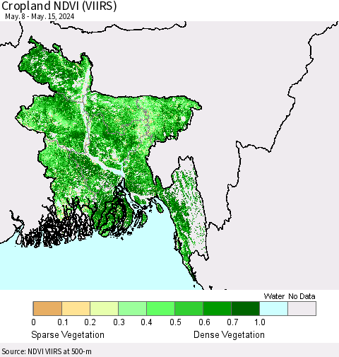 Bangladesh Cropland NDVI (VIIRS) Thematic Map For 5/8/2024 - 5/15/2024