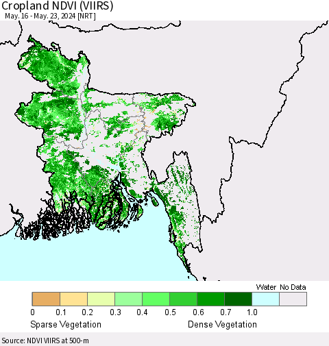 Bangladesh Cropland NDVI (VIIRS) Thematic Map For 5/16/2024 - 5/23/2024