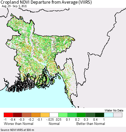 Bangladesh Cropland NDVI Departure from Average (VIIRS) Thematic Map For 8/29/2021 - 9/5/2021