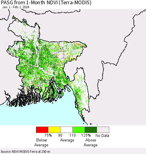 Bangladesh PASG from 1-Month NDVI (Terra-MODIS) Thematic Map For 1/25/2024 - 2/1/2024