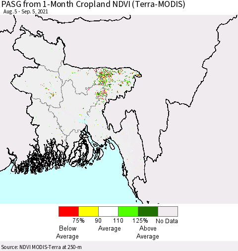 Bangladesh PASG from 1-Month Cropland NDVI (Terra-MODIS) Thematic Map For 8/29/2021 - 9/5/2021