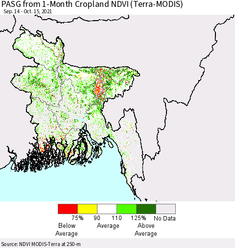 Bangladesh PASG from 1-Month Cropland NDVI (Terra-MODIS) Thematic Map For 10/8/2021 - 10/15/2021